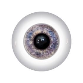 Glaza Dlya Kukol Seriya K Klassicheskie Glaza Dlya Kukol 45k Zhivye Glazki Glaza Dlya Igrushek Kukol Ukrashenij Glaza Zhivotnyh Glaza Dlya Taksidermii